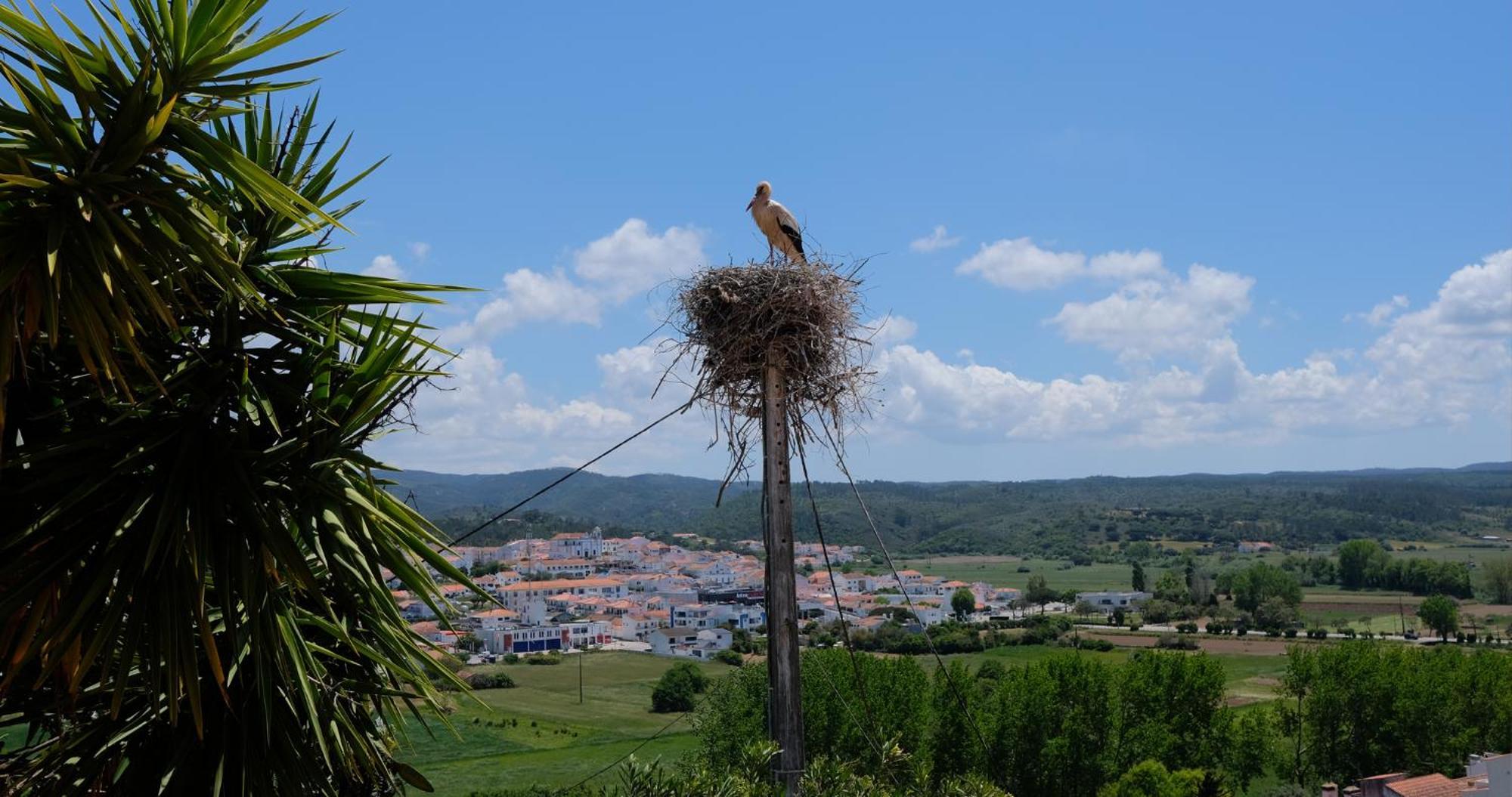 Apartamento Casa De Malee